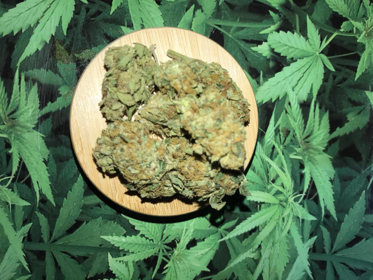 Sour Diesel (Greenhouse)