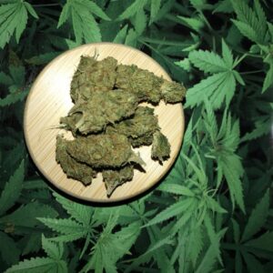 NYC Diesel