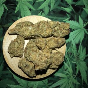 Alien Cookies