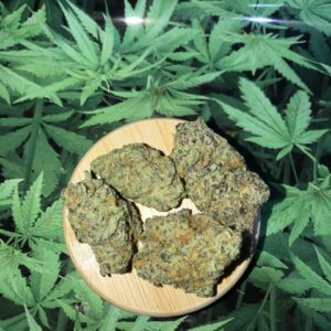 Super Silver Haze