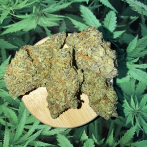 Alaskan Thunder