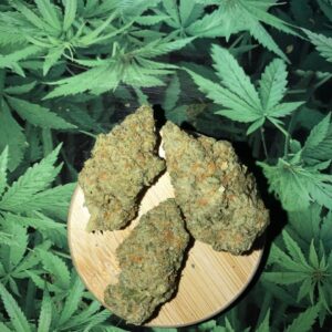 Sour Diesel (Premium)